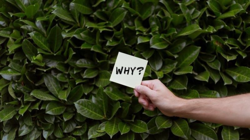 250-word essay on why i deserve a scholarship pdf