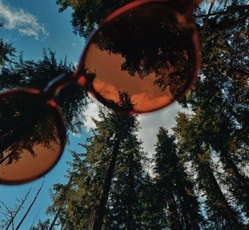 sunglass lens color guide