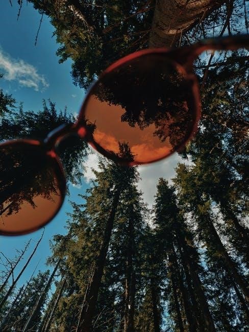 sunglass lens color guide