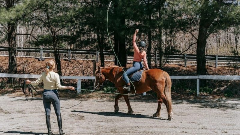 saddle fitting guide
