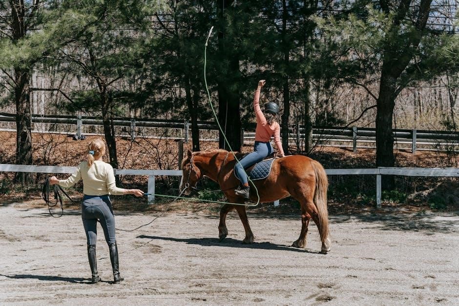 saddle fitting guide