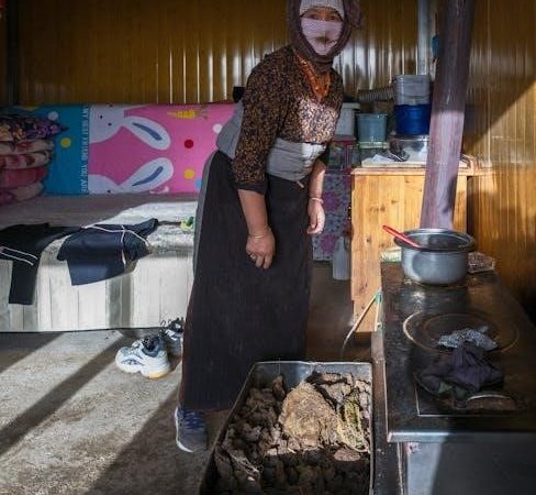 englander pellet stove 25 pdvc manual