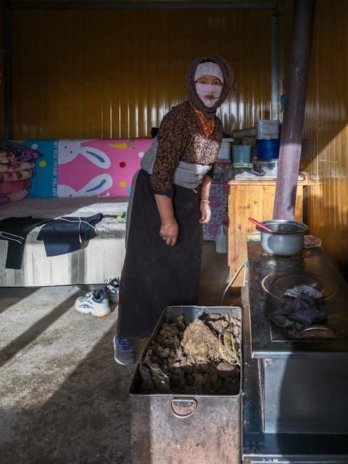 englander pellet stove 25 pdvc manual