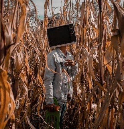 final fantasy 11 leveling guide