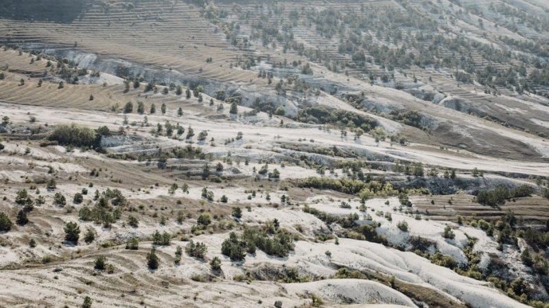 ortho ground clear mixing instructions