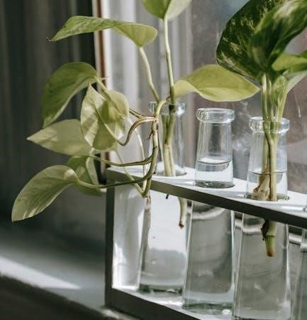 dip n grow instructions