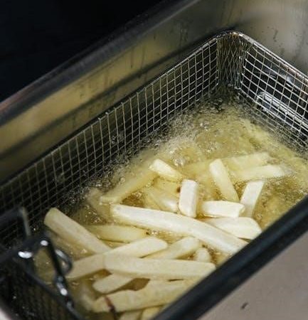 kitchen couture air fryer manual