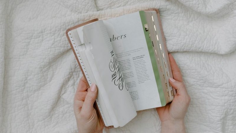 women’s bible study lessons pdf